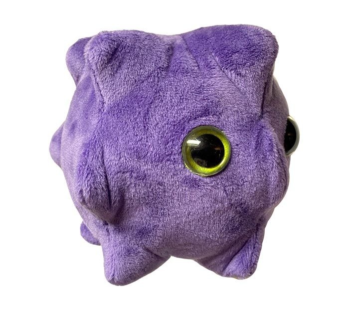 RSV Medical Educational Plush - Ziya Blue