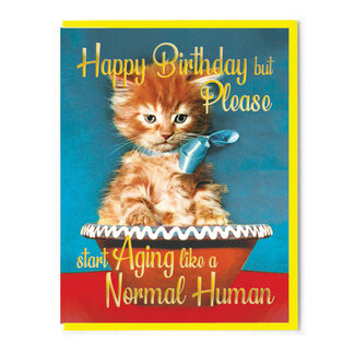 Smitten Kitten Happy Birthday Please Start Aging Card