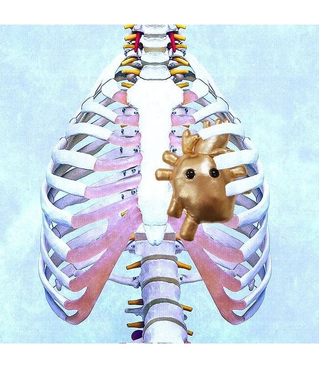 Giant Microbes Heart of Gold Educational Plush: Learn About Cardiology!
