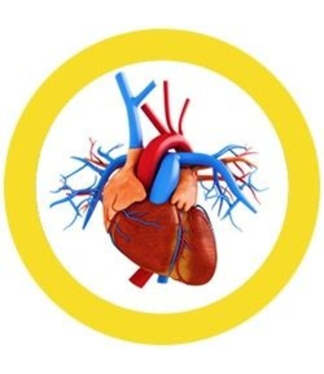 Giant Microbes Heart of Gold Educational Plush: Learn About Cardiology!