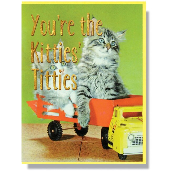 Meowvellous Moments: 'You're the Kitties Titties' Greeting Card!