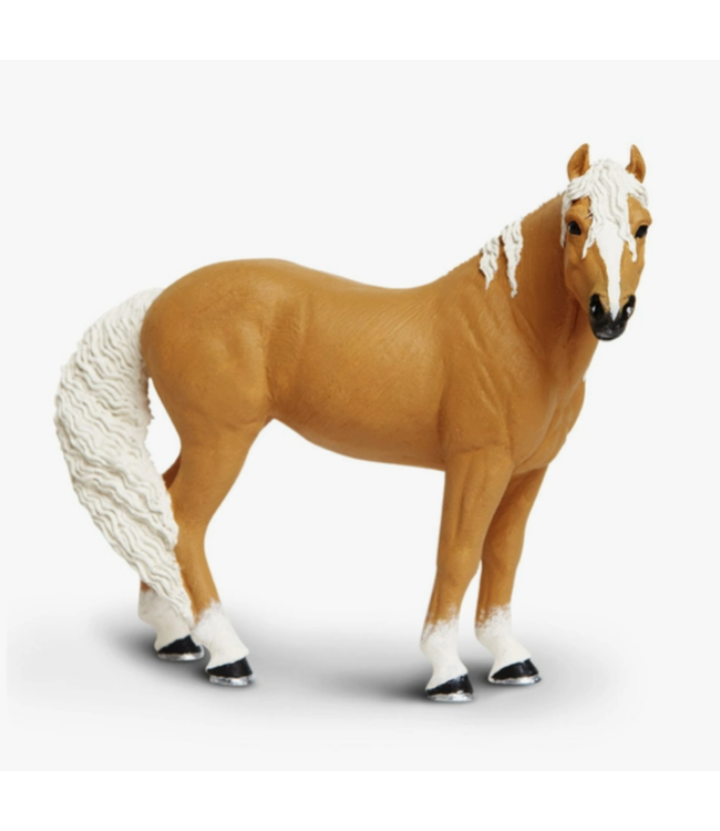 Palomino Mare