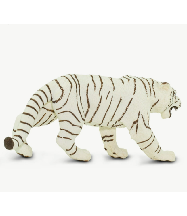 White Bengal Tiger