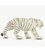 White Bengal Tiger