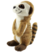 Hug A Meerkat Kit