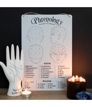 Something Different Phrenology Map Metal Sign