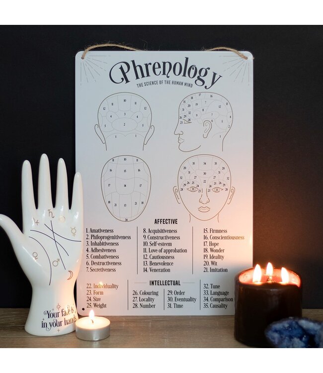 Phrenology Map Metal Sign