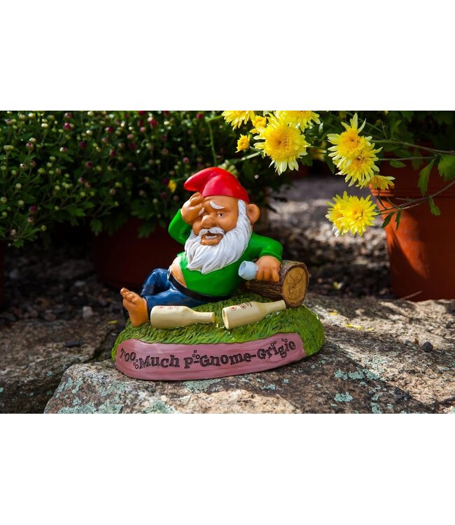 Gnome's Remorse: The Hung Over Garden Gnome