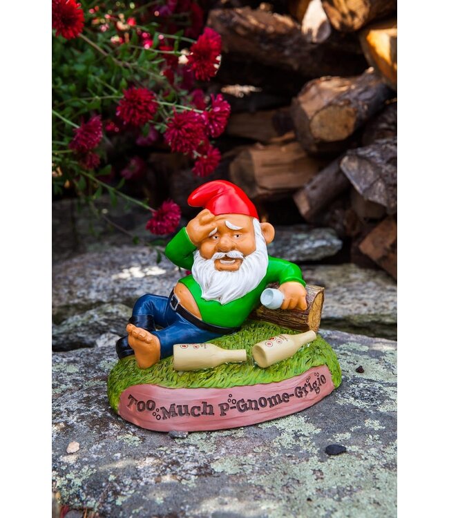 Gnome's Remorse: The Hung Over Garden Gnome