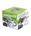 Dinosaur Heat-Changing Coffee Mug