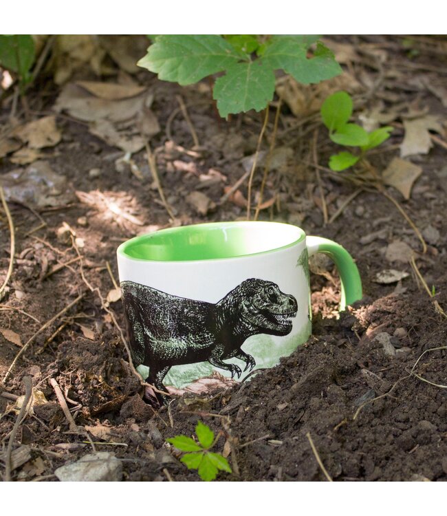 Dinosaur Heat-Changing Coffee Mug