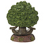 Tree Ent Backflow Incense Burner: Mystical Aromatherapy Accent