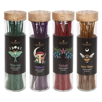 Pacific Giftware Dark Forest Incense