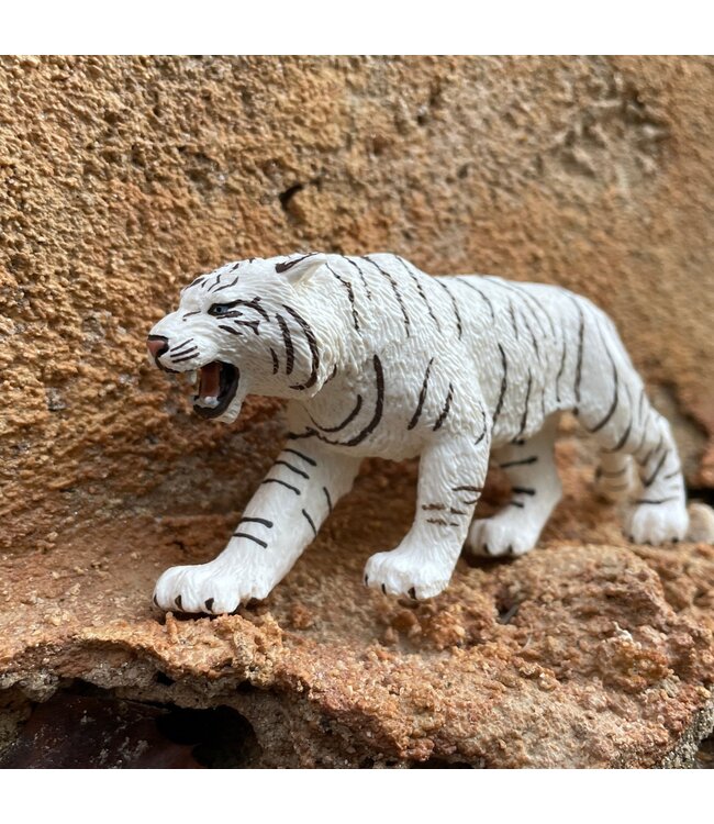 White Bengal Tiger