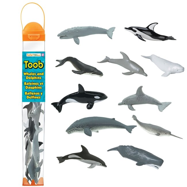 Whales and Dolphins TOOB