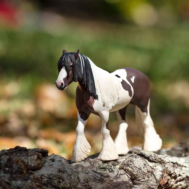 Tinker Irish Cob