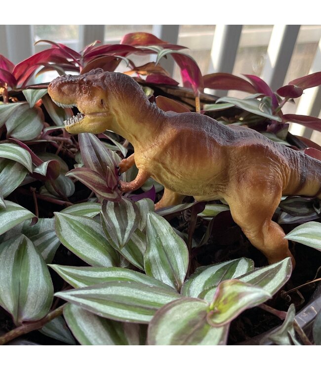 T-Rex (Brown)