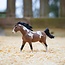 Pinto Mustang Stallion
