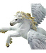 Pegasus