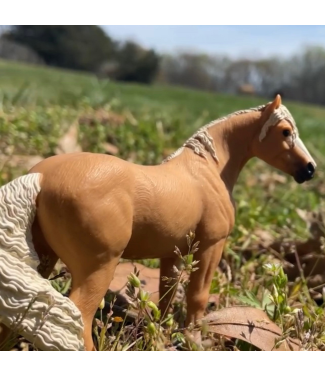 Palomino Mare