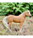 Palomino Mare