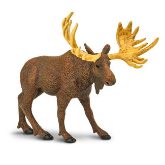 Safari Ltd Moose Toy Figurine