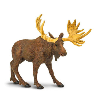 Safari Ltd Moose Toy Figurine