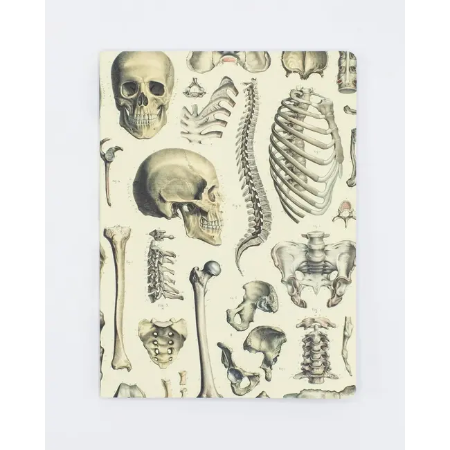 Bony Ramblings: The Skeletal Softcover Lined Journal