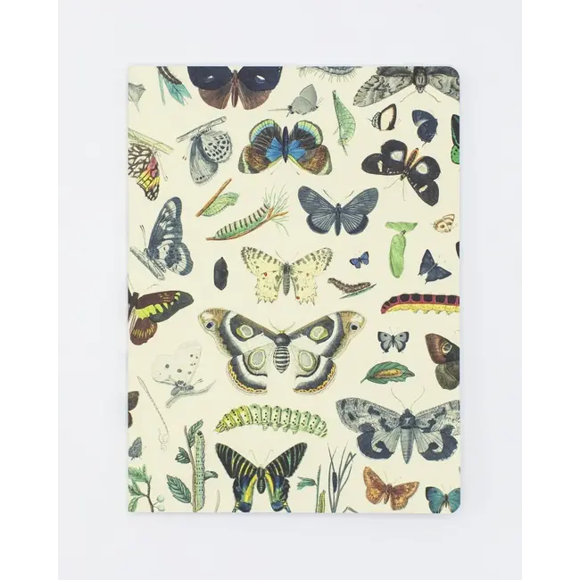 Butterflies Softcover Journal-  Dot Grid