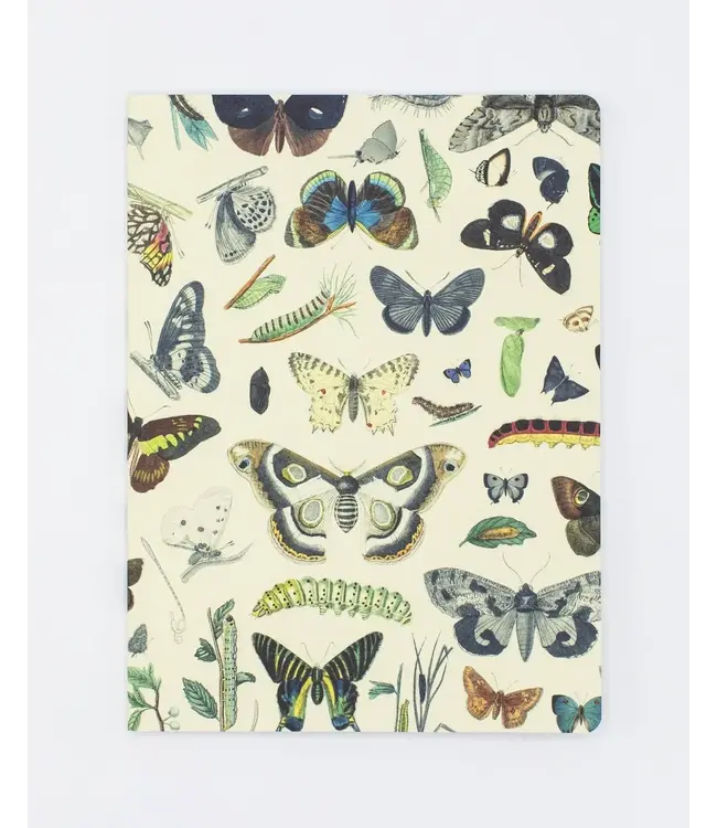 Butterflies Softcover Journal-  Dot Grid