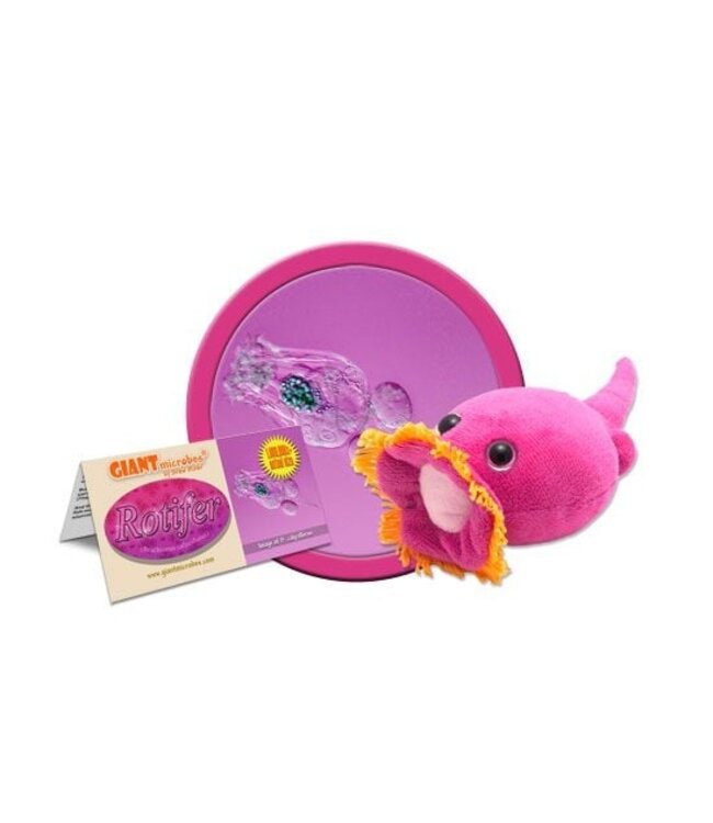 Giant Microbes Rotifer Educational Plush: Discover Microscopic Life!