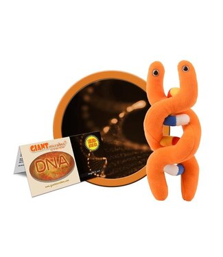 Giant Microbes DNA Educational Plush