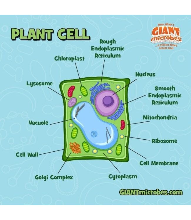 Giant Microbes Plant Cell Plush: Explore Plant Biology!