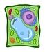 Giant Microbes Plant Cell Plush: Explore Plant Biology!