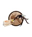 Giant Microbes: Buzz Off, Mosquito Educational Plush!