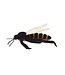 Giant Microbes: Buzz Off, Mosquito Educational Plush!