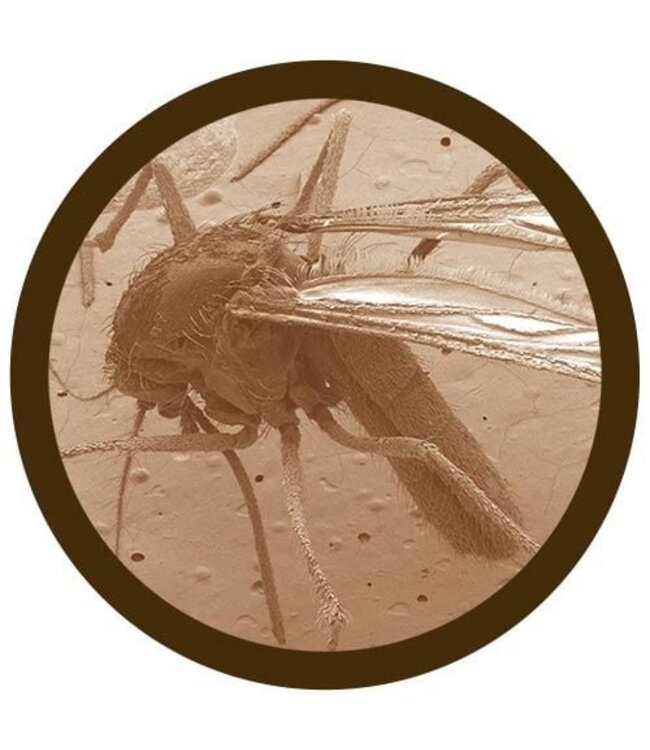 Giant Microbes: Buzz Off, Mosquito Educational Plush!