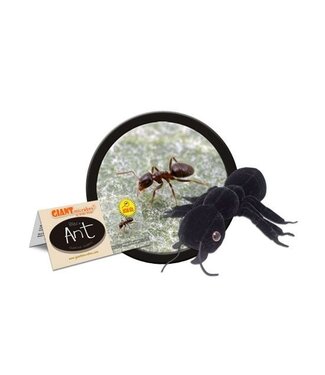 Giant Microbes Black Ant Educational Plush