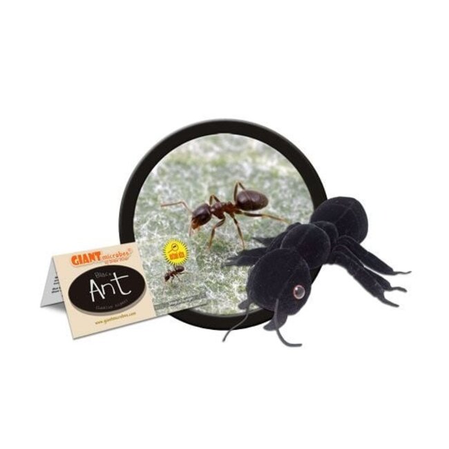 Giant Microbes Black Ant Plush - Because Even Ants Need Hugs!