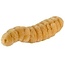 Giant Microbes Maggot Educational Plush: Squirm Your Way to Learning!