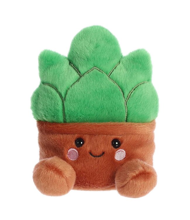 Succulent Sunbathing with Gigi: A Plushy Paradise