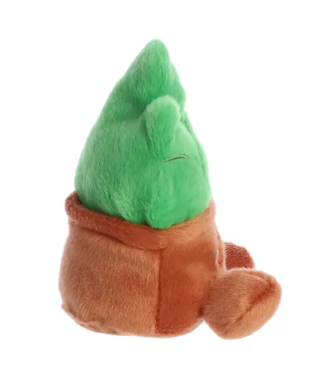 Succulent Sunbathing with Gigi: A Plushy Paradise