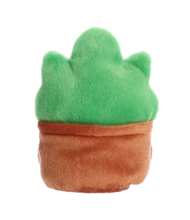 Succulent Sunbathing with Gigi: A Plushy Paradise