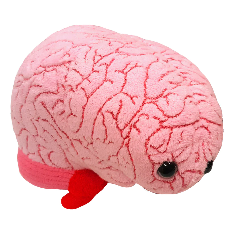 Where Science Meets Cuteness in Plush Microbiology