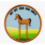 High Horse Patch