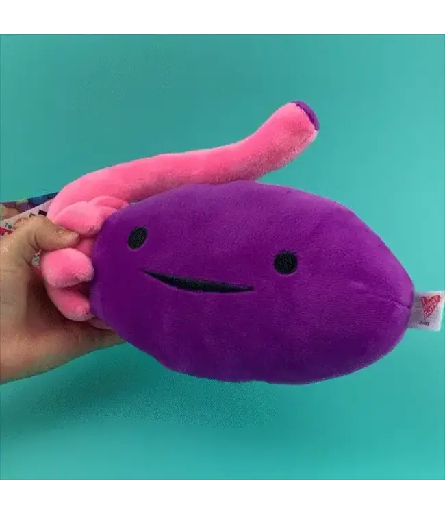 Ovary Educational Plush: Fun Learning!