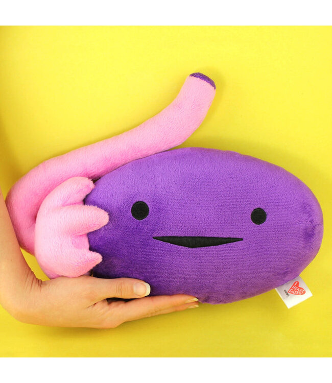Ovary Educational Plush: Fun Learning!