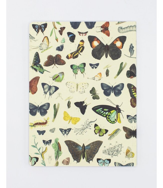 Butterflies Softcover Journal-  Dot Grid
