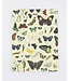 Butterflies Softcover Journal-  Dot Grid