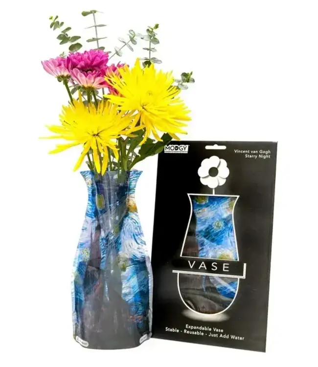 Van Gogh's Vase: Art with a Twist!